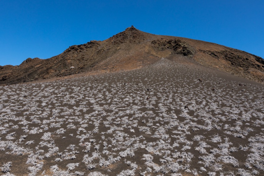 Isla Bartolomé, Santiago Island