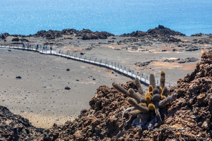 Isla Bartolomé, Santiago Island