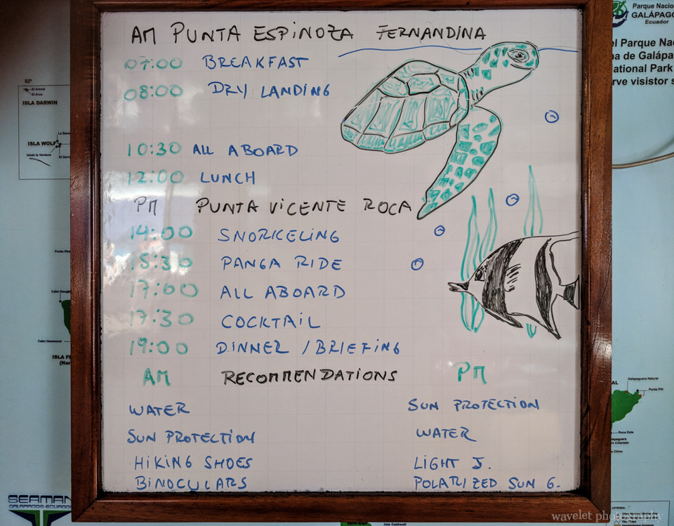 Itinerary of Punta Espinoza and Puerto Egas