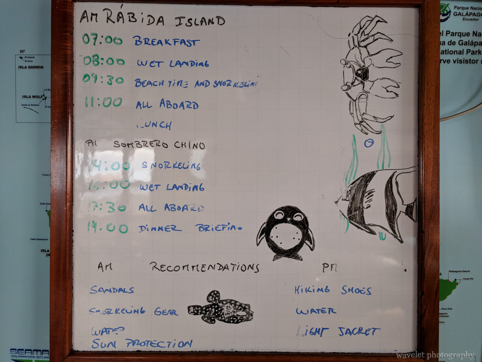 Itinerary of Rábida Island and Sombrero Chino