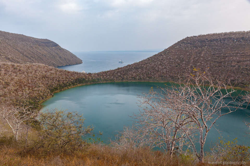 Darwin Lake, Caleta Tagus, Isabela Island
