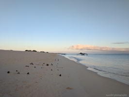 Bachas Beach, Santa Cruz Island