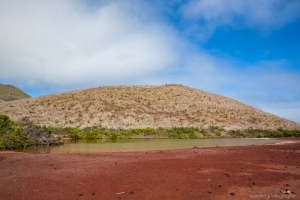 Rábida Island