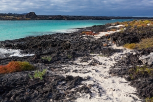 Sombrero Chino, Santiago Island