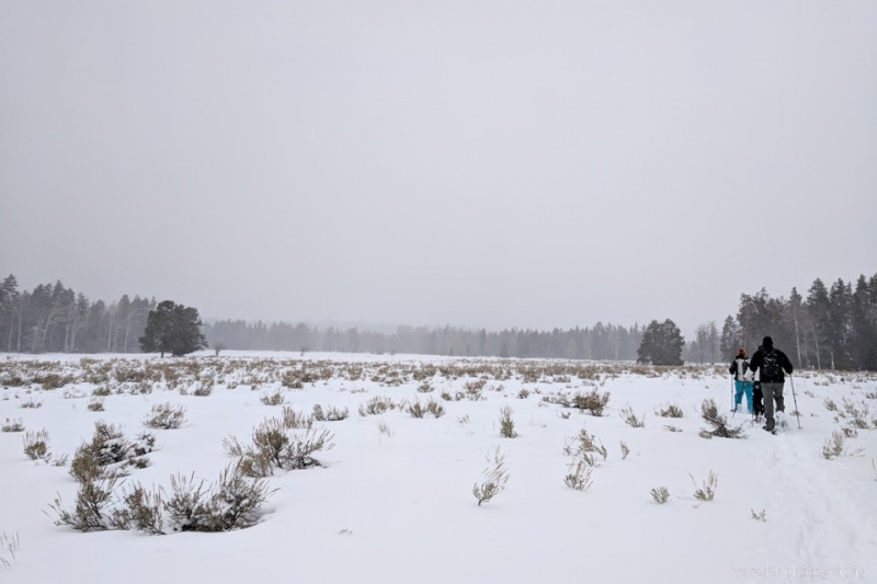 Snowshoe Excursion
