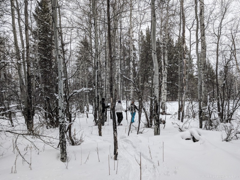 Snowshoe Excursion