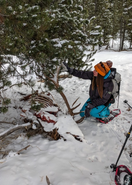 Snowshoe Excursion