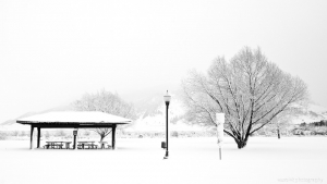 Jackson Hole in snow
