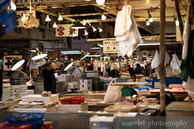 Tsukiji Fish Market (筑地市场)