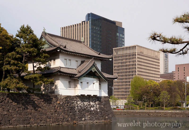 Imperial Palace (皇居)