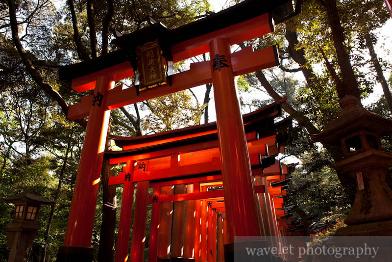 Fushimi Inari Shrine (伏見稲荷大社)