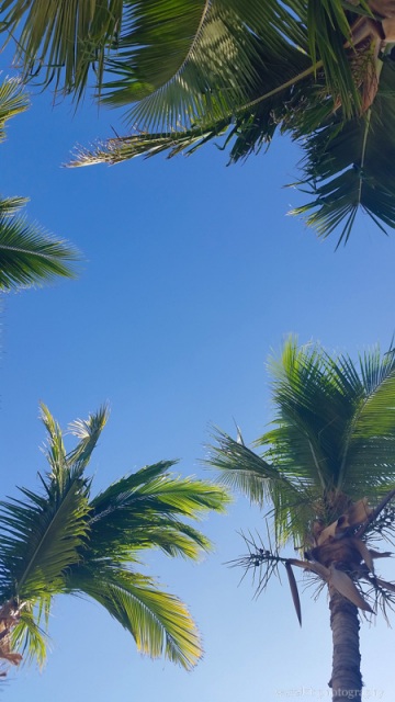 Casa Costa Azul, San José del Cabo