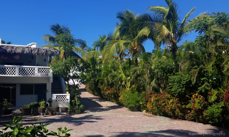 Casa Costa Azul, San José del Cabo