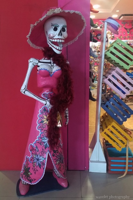 Skull in Los Cabos Airport