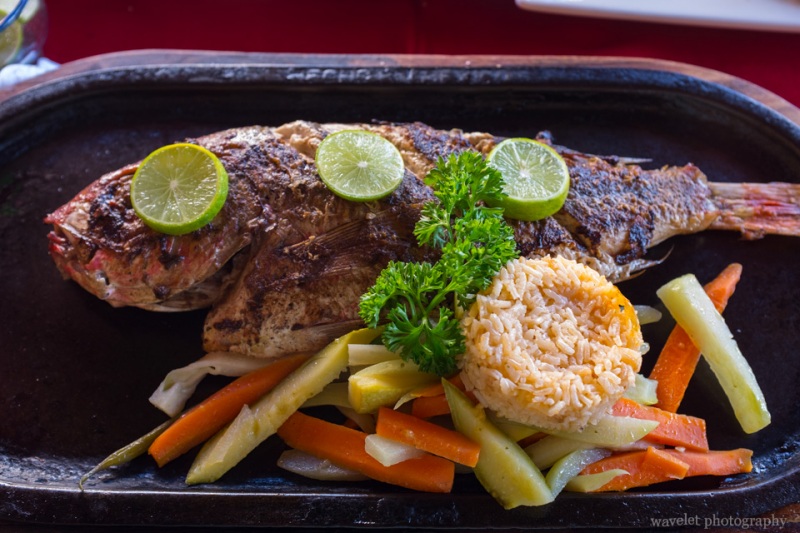 Jazmin\'s, San José del Cabo