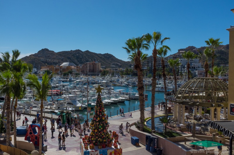 Cabo San Lucas