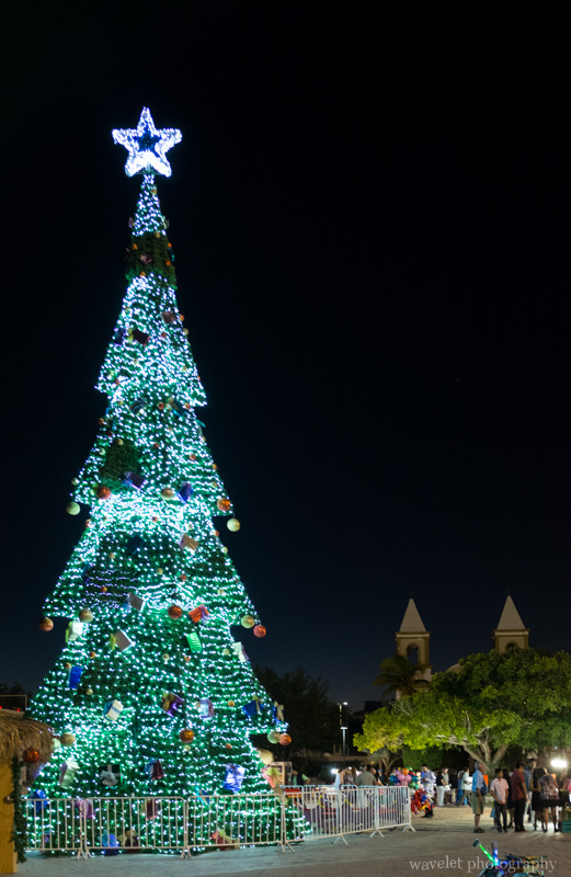 Christmas tree in Mijares Square, San José del Cabo