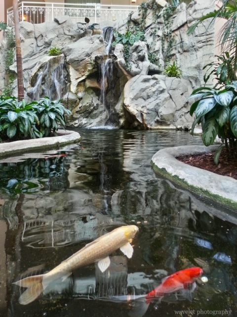 Embassy Suites, San Rafael