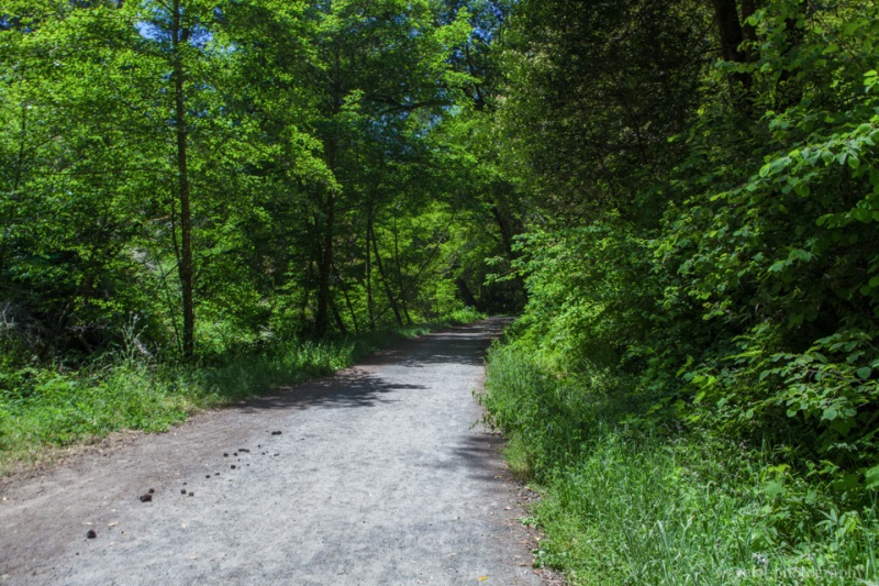 Bear Valley Trail, Point Reyes