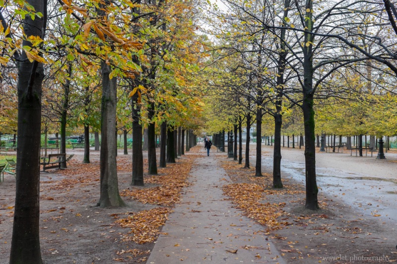 Jardin des Tuileries in a cloudy day, Paris