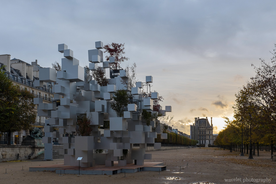 Many Small Cubes by Sou Fujimoto in the Tuileries Garden, Paris