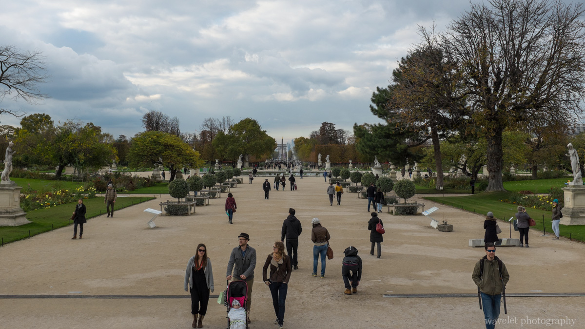 Jardin des Tuileries seen from Arc de Triomphe du Carrousel, Paris