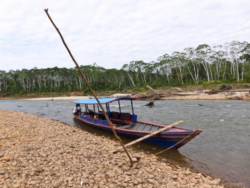 Our Boat