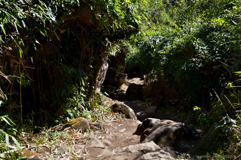 Trail Forks before Ascending