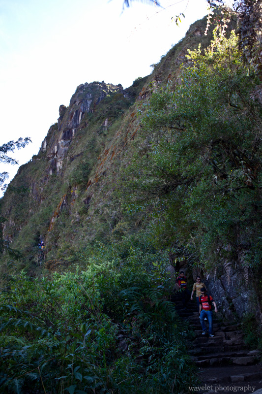 Huayna Picchu Trail