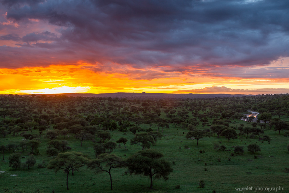 Sunrise at Tarangire National Park