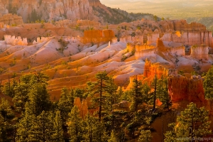 Bryce Canyon National Park, Utah