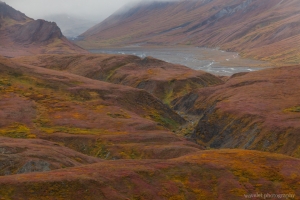 Near Eielson Visitor Center, Denali National Park, Alaska