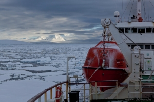 Flanders Bay, Antarctic Peninsula