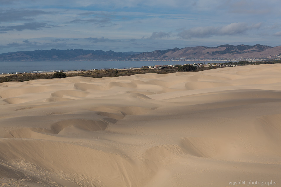 Oceano Sand Dunes