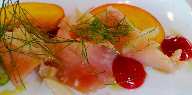 Terra Plata, Seattle
