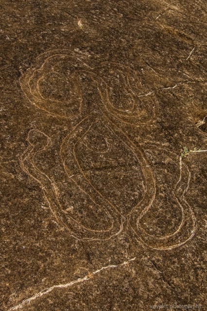 Papa Mangai, petroglyphs of a heke (octopus), Papa Vaka, Easter Island