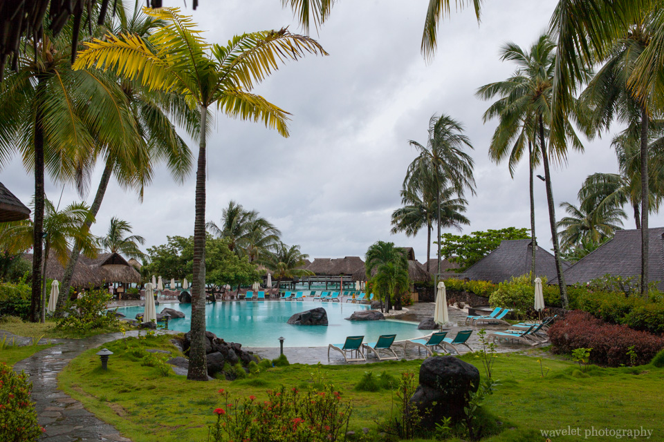 Garden of Hilton Moorea Lagoon Resort & Spa