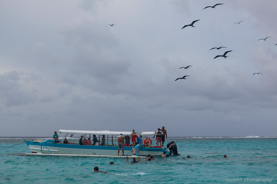 Shark and Ray feeding tour, Bora Bora