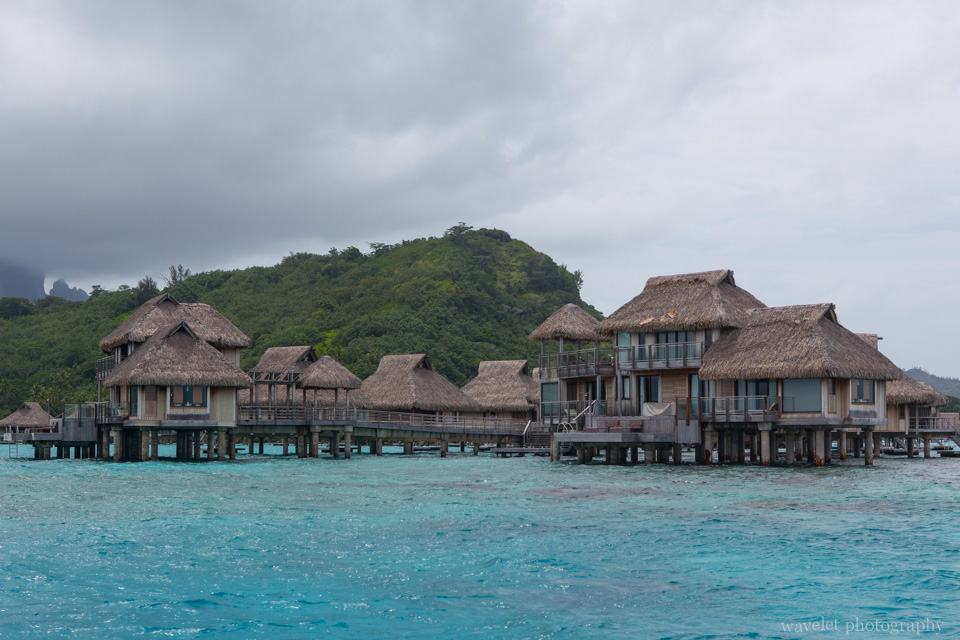 The largest overwater bungalows, Shark and Ray feeding tour, Bora Bora