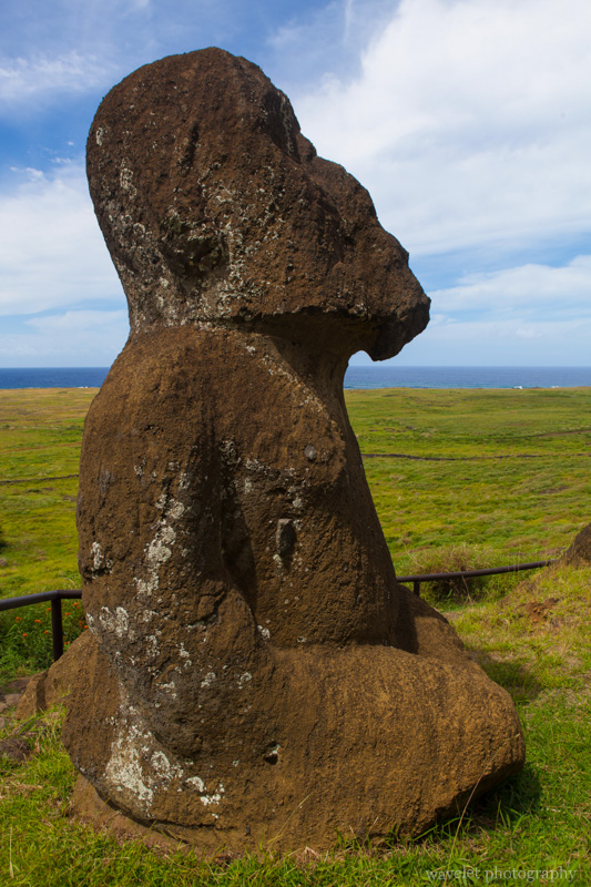 Tukuturi, a moai with beard and  in unusal kneeling posture, Rano Raraku, Easter Island
