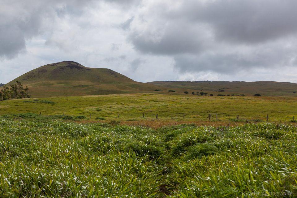 Inner island landscape, Easter Island