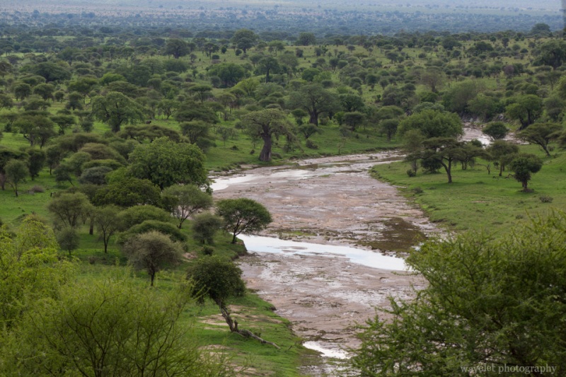 Tarangire River
