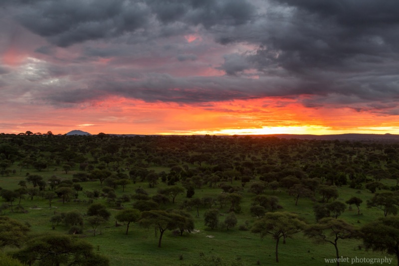 Sunrise in Tarangire National Park