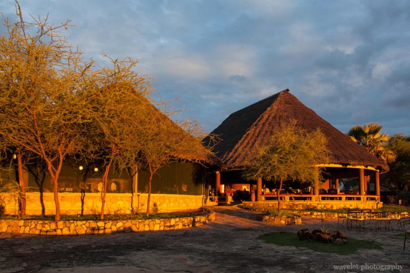 Tarangire Safari Lodge