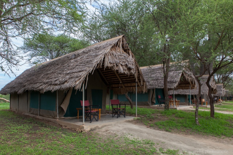 Camps in Tarangire Safari Lodge