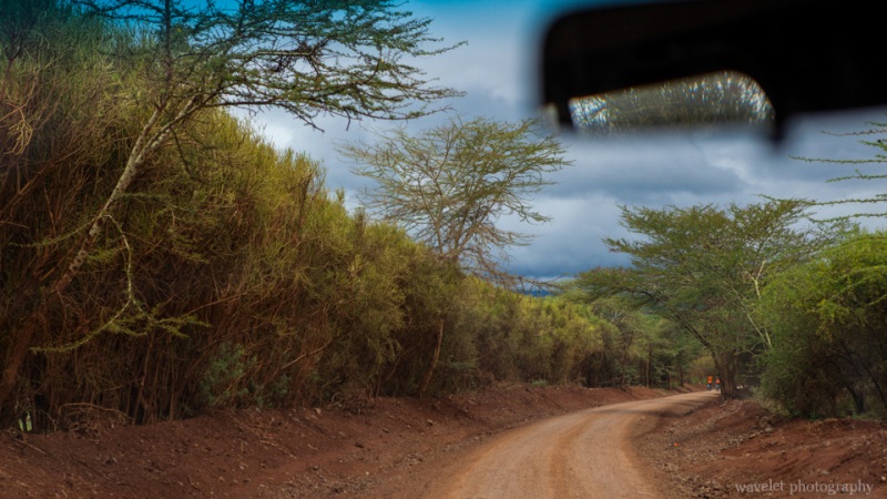 T K Eyasi Rd.