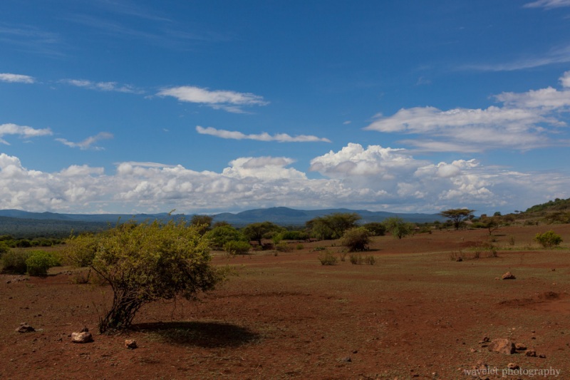 Barren land near Lake Eyasi