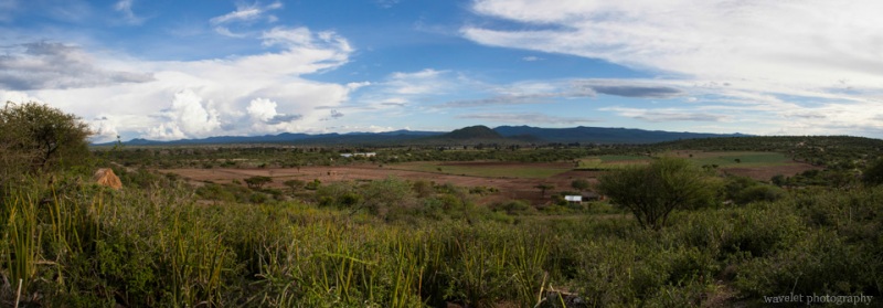 Agriculture area near Lake Eyasi