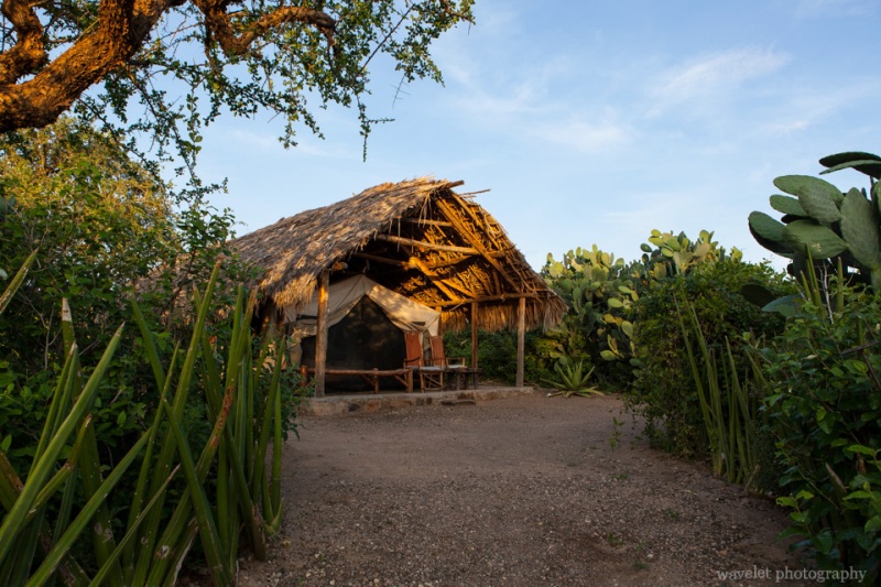 Tindiga Tented Camp, near Lake Eyasi