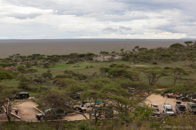 Endless grassland in south Serengeti, the entrance of Serengeti National Park